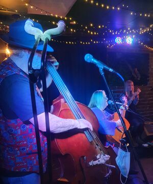 The Blue Jays, cover band in Geelong, photo 2