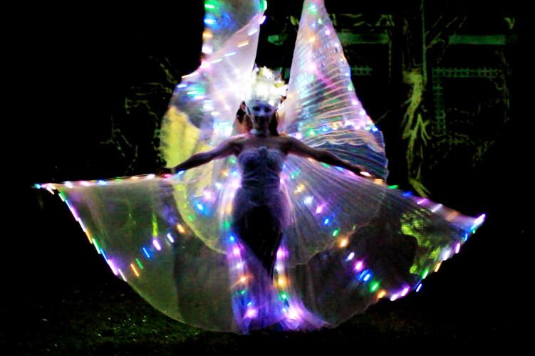 Luminous Glow, led performer in Gold Coast, photo 3
