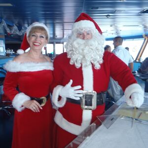 Santa for hire, costume character in Gold Coast, photo 2