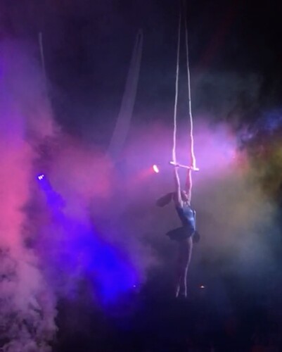 Miss Amy May Rose, aerialist in Gold Coast, photo 3