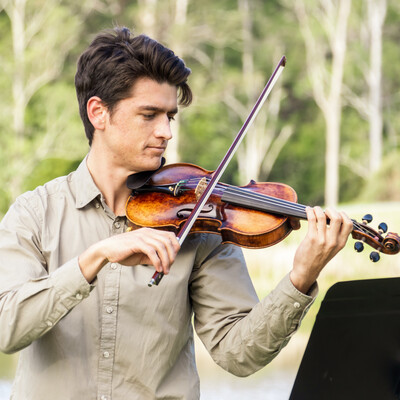 Violinist, live in Gold Coast, photo 2