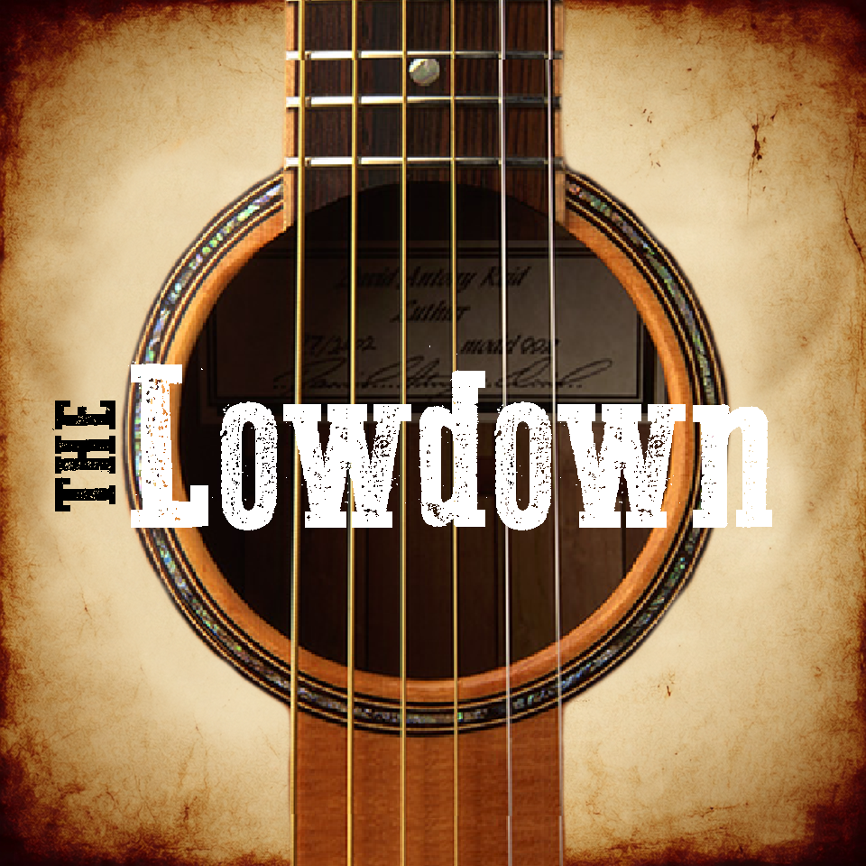 The Lowdown, cover band in Hervey Bay