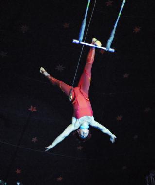 Trapezista, aerialist in Hobart, photo 3