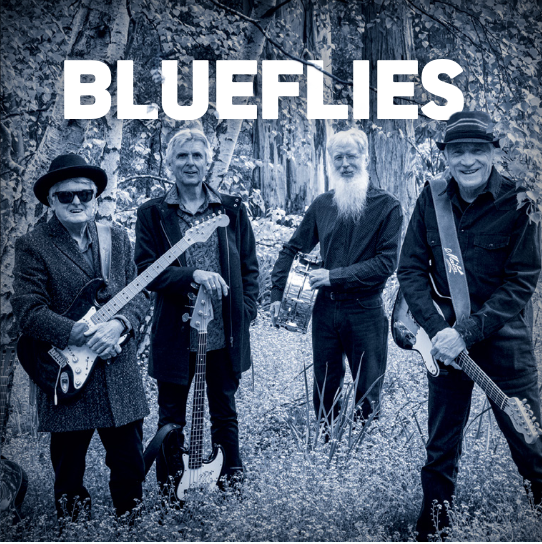 Blueflies, blues band in Hobart