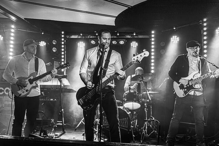 The Royal Turks, cover band in Hobart, photo 3