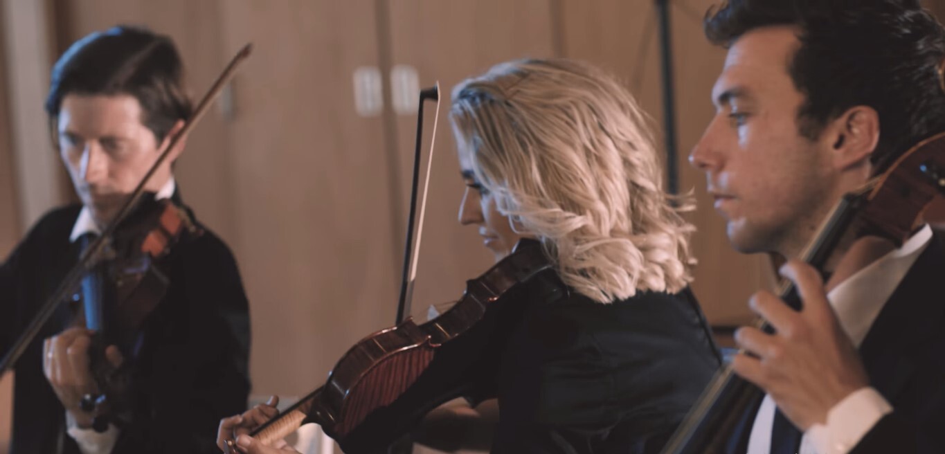 The Sydney Ensemble, wedding band in Hunter Valley, photo 2