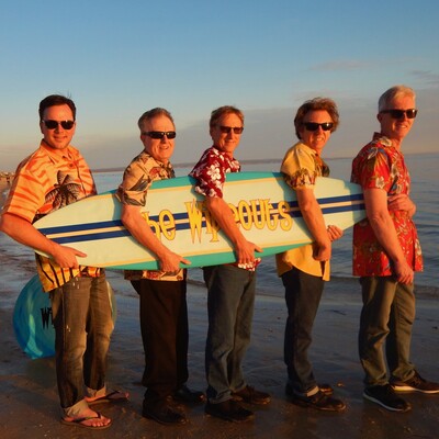 The Wipeouts, cover band in Melbourne, photo 2