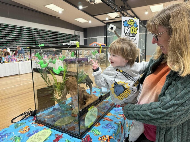 Wandering Wildlife Displays, event services in Melbourne, photo 2
