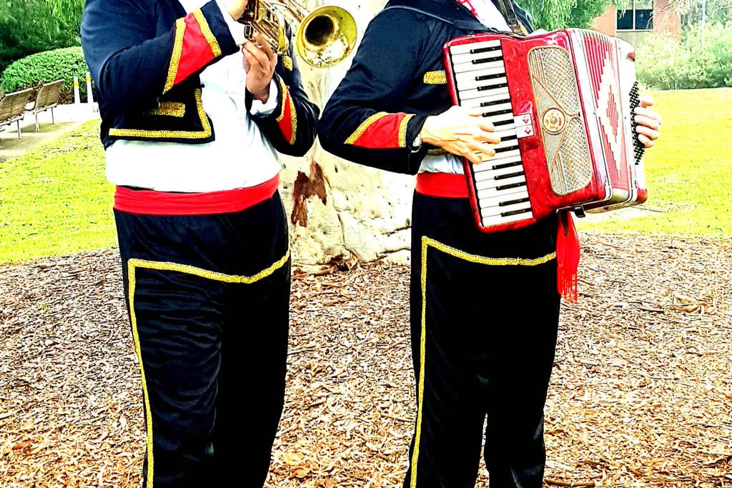 Skedaddle, band in Melbourne, photo 3