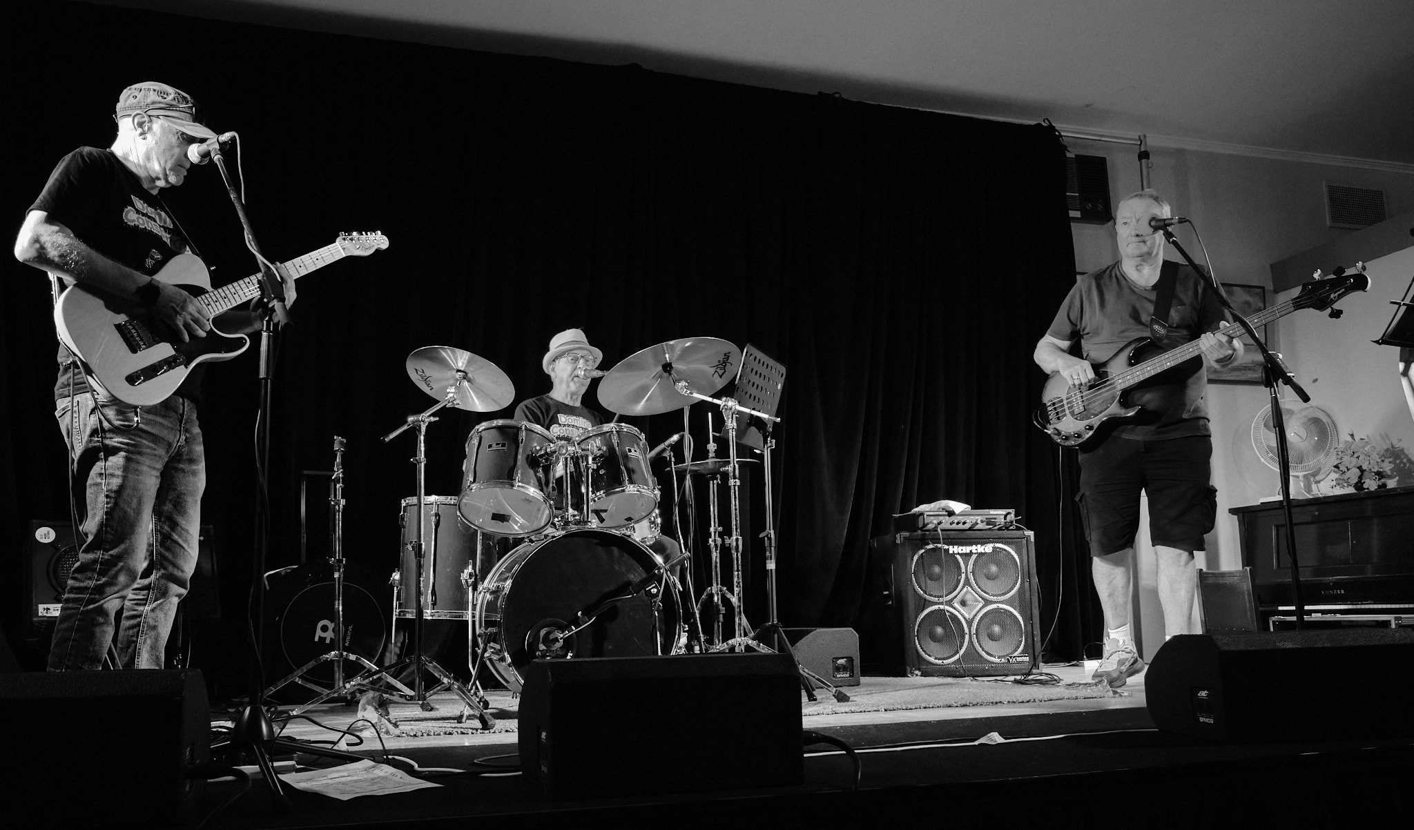 Domino Conspiracy, blues band in Melbourne