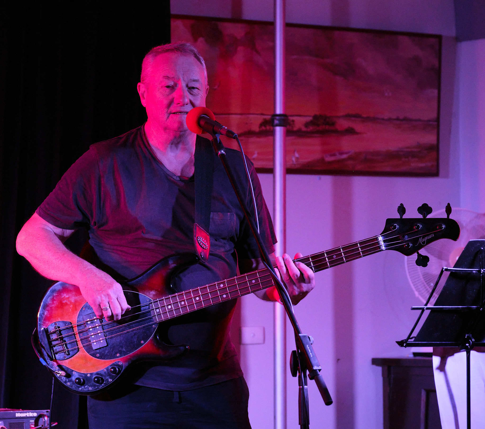 Domino Conspiracy, blues band in Melbourne, photo 3
