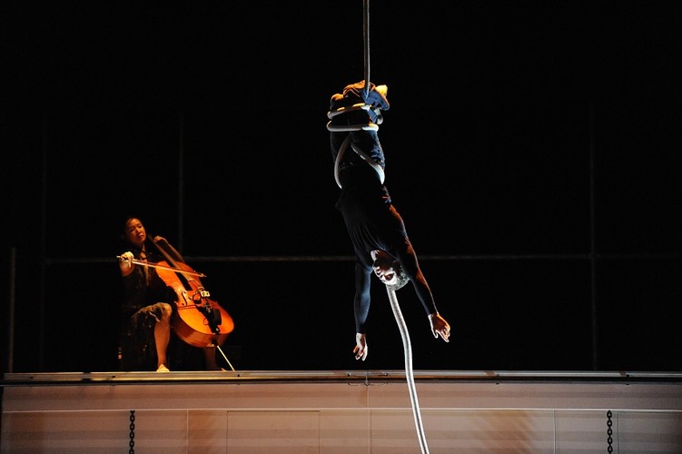 Circus Artist. Acrobatics, Aerial, and Juggling, live in Melbourne, photo 3