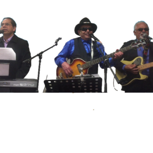 3 Down Under, rock band in Melbourne, photo 2