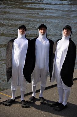 Parading Penguins, costume character in Melbourne, photo 2