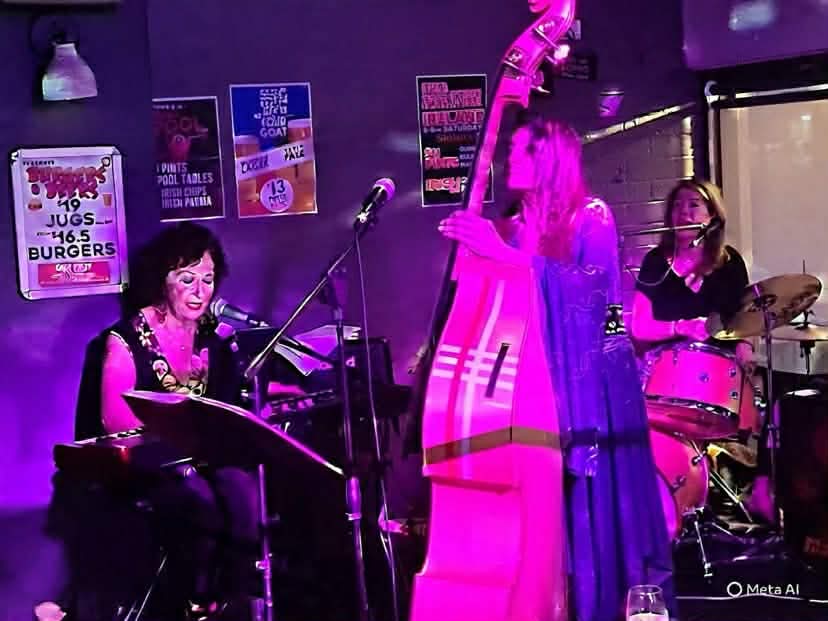 Mich Mash Mummas, cover band in Melbourne