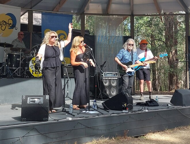 Silverwater, cover band in Melbourne, photo 2