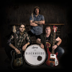 The Blackwoods Three, cover band in Melbourne, photo 2