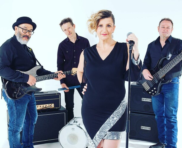 The Cover Council, cover band in Melbourne, photo 3