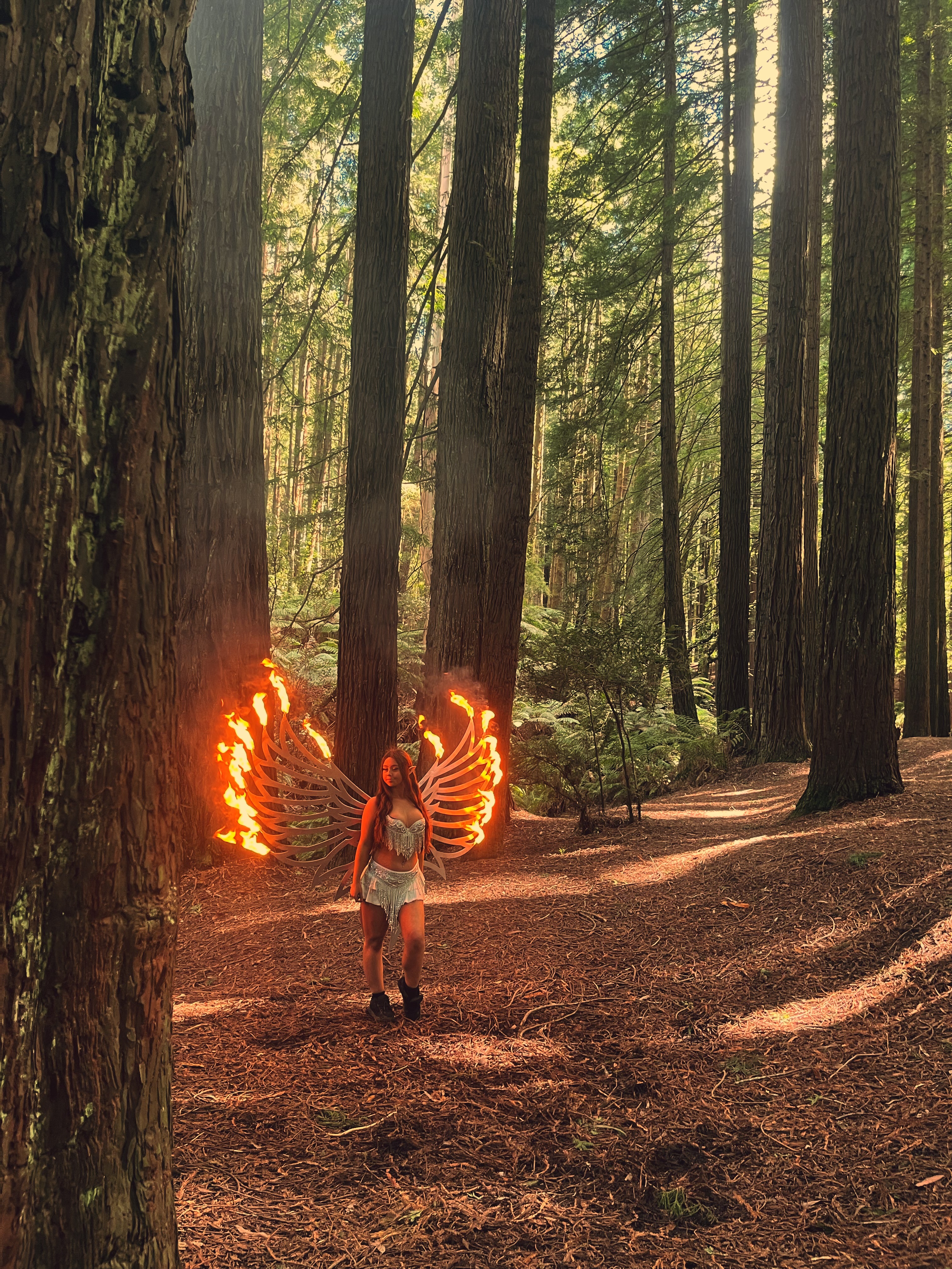 Fire Performer, live in Melbourne