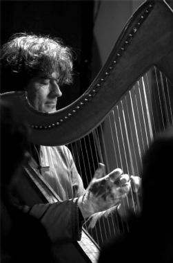 Michael Johnson, harp player in Melbourne