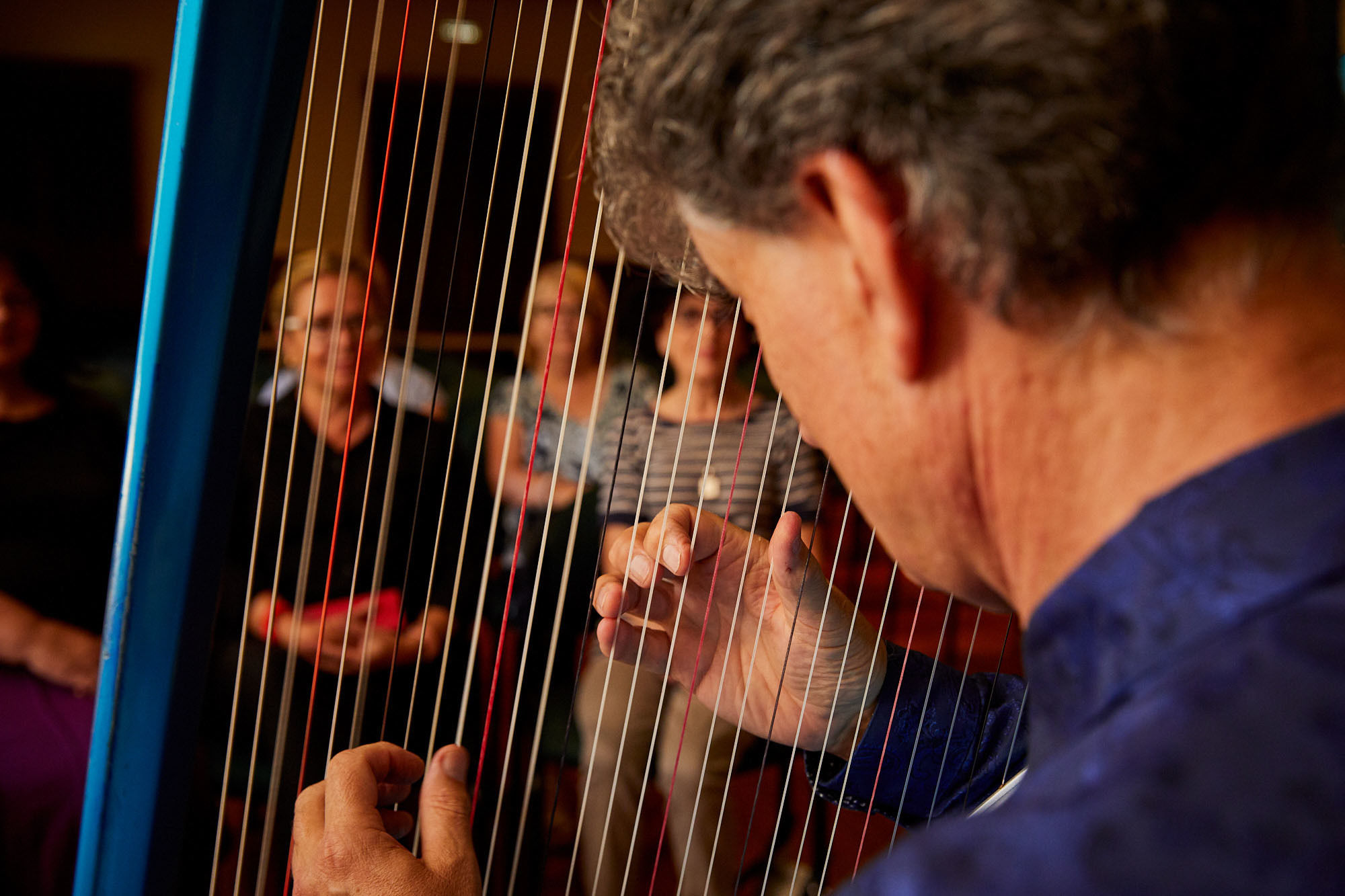 Michael Johnson, harp player in Melbourne, photo 2