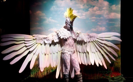 Cockatoo, impersonator in Melbourne