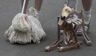 Gone to the Dogs, puppetry in Melbourne