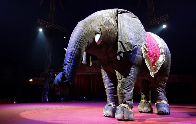 Eesha The Elephant, roving entertainer in Melbourne