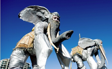 Dali Elephant On Stilts, stilt walker in Melbourne