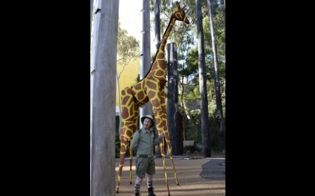 Gemma Giraffe, stilt walker in Melbourne, photo 3