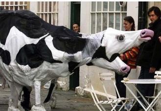 Giant Cows, stilt walker in Melbourne