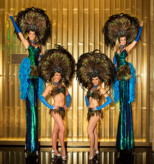 Peacock Stilt Walkers, live in Melbourne
