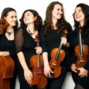 Animata, string quartet in Melbourne, photo 2