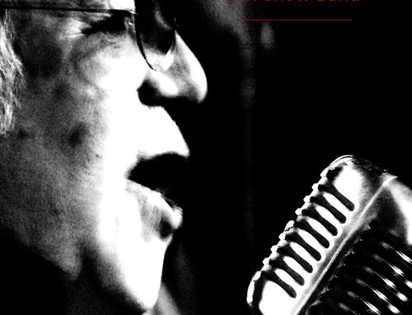 David McCall, tribute band in Melbourne