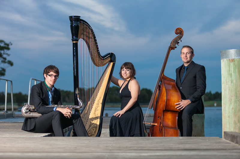 MICHELLE SMITH AND THE JAZZ HARP TRIO, jazz trio in Perth