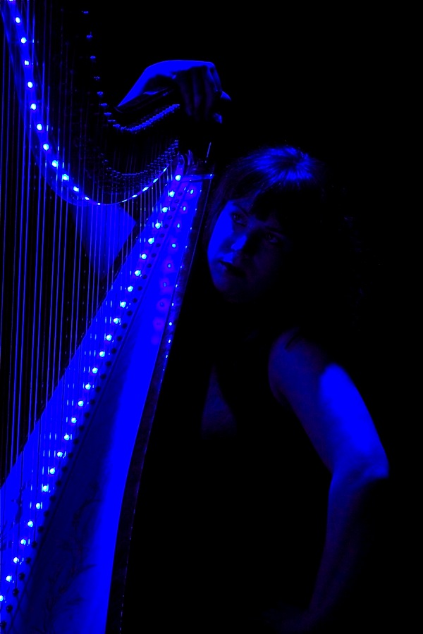 MICHELLE SMITH AND THE JAZZ HARP TRIO, jazz trio in Perth, photo 2