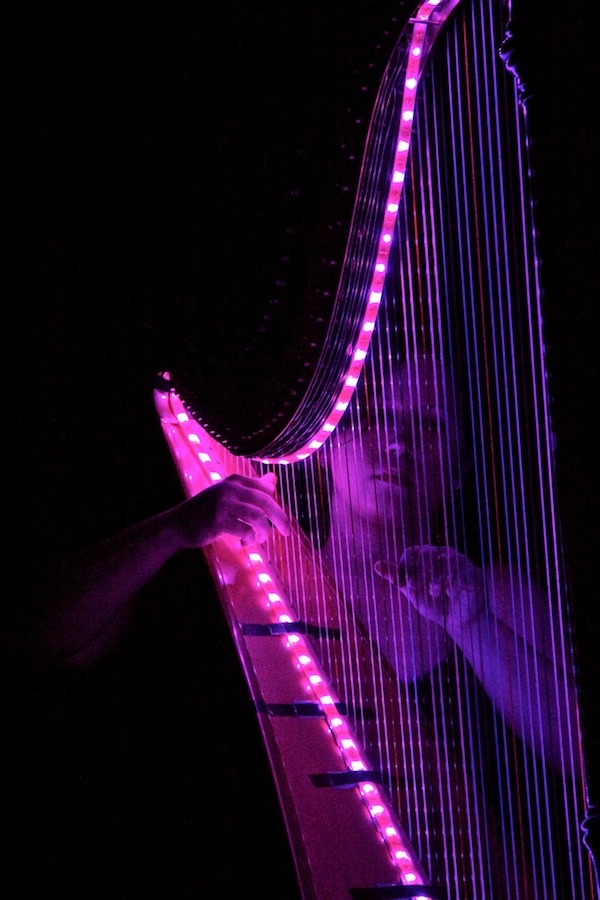 MICHELLE SMITH AND THE JAZZ HARP TRIO, jazz trio in Perth, photo 3