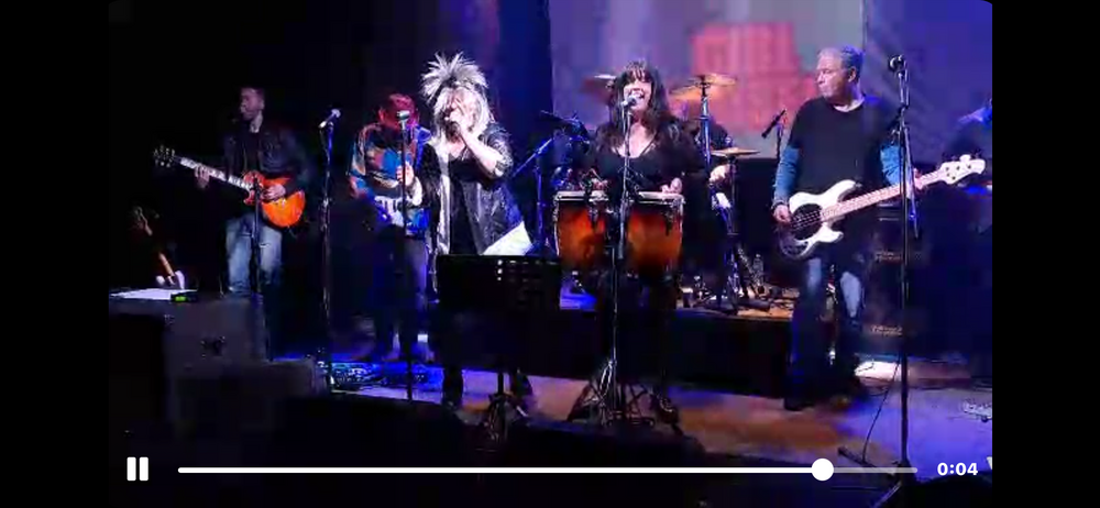 Li Sha, cover band in Mornington, photo 3
