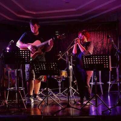The Chace Duo, musical duo in Newcastle, photo 2