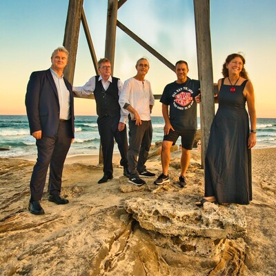 The CEOs Band, cover band in Newcastle, photo 2