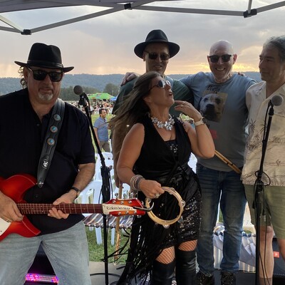 The Shedmasters Band, cover band in Newcastle, photo 2