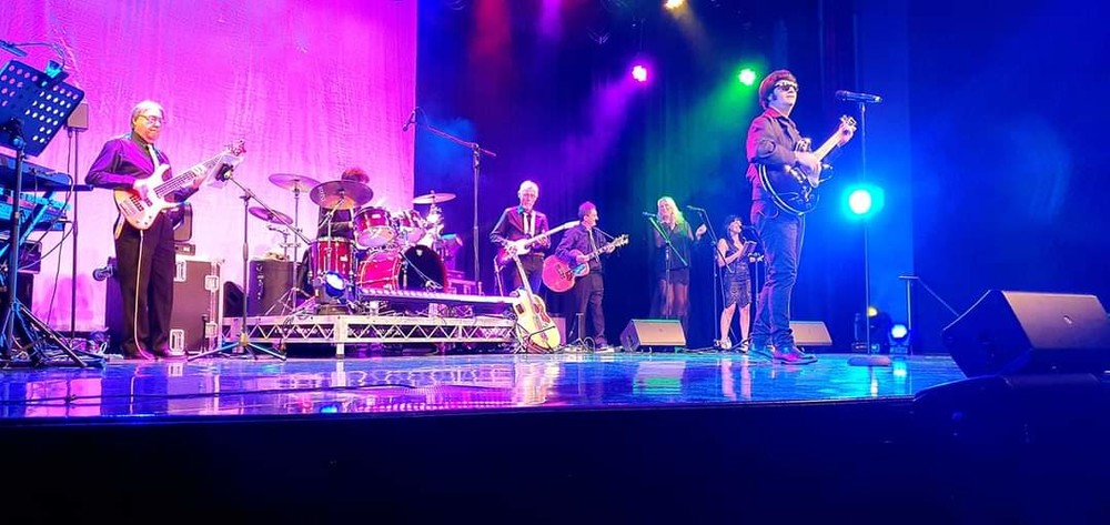 Ron Man, tribute band in Newcastle, photo 3