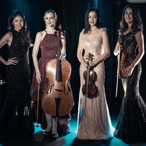 Strings en Vogue, string ensemble in NSW