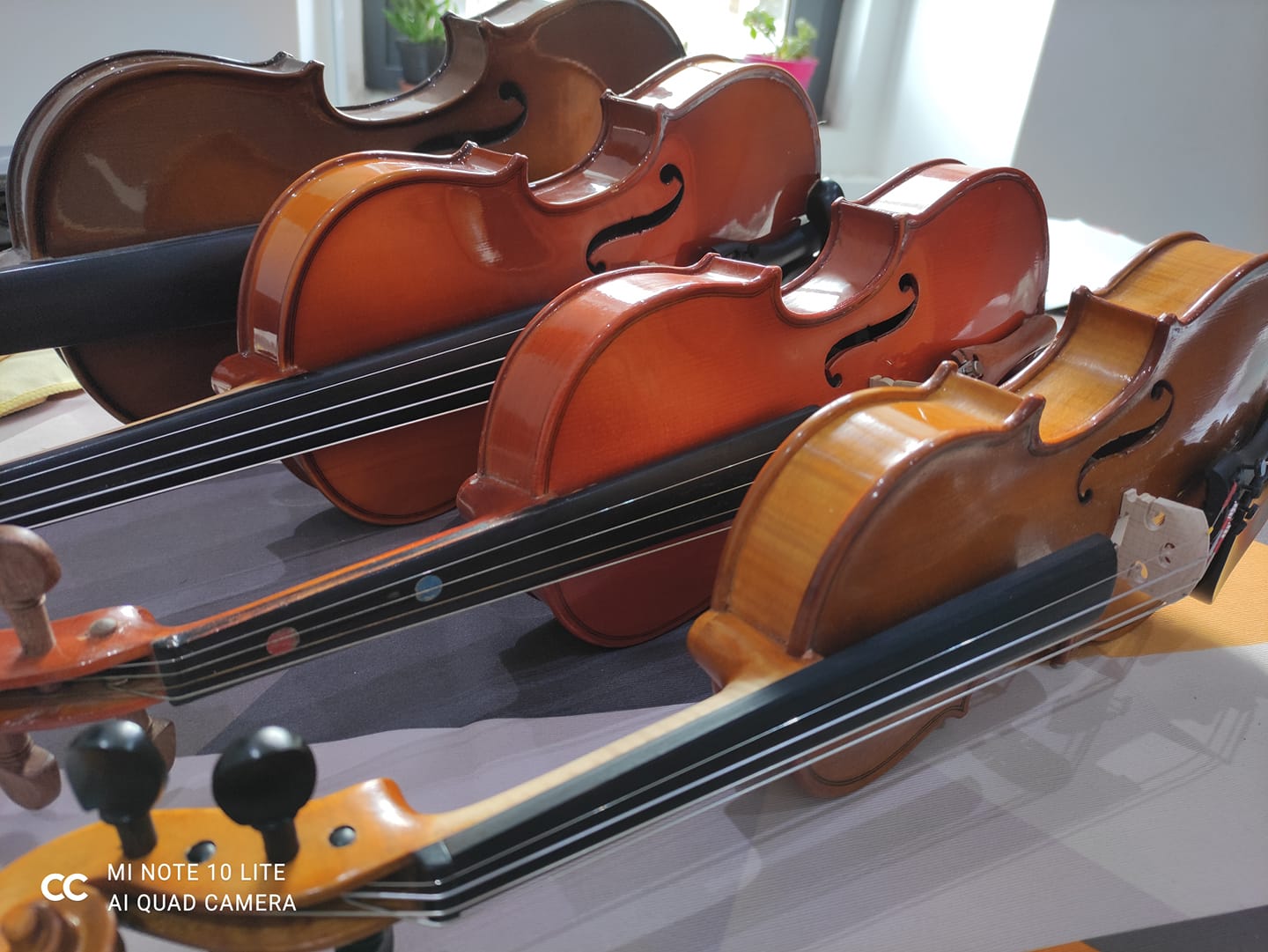 Prelude Music, wedding band in Regional NSW, photo 3