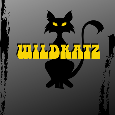 Wildkatz, musical duo in Parkes, photo 2
