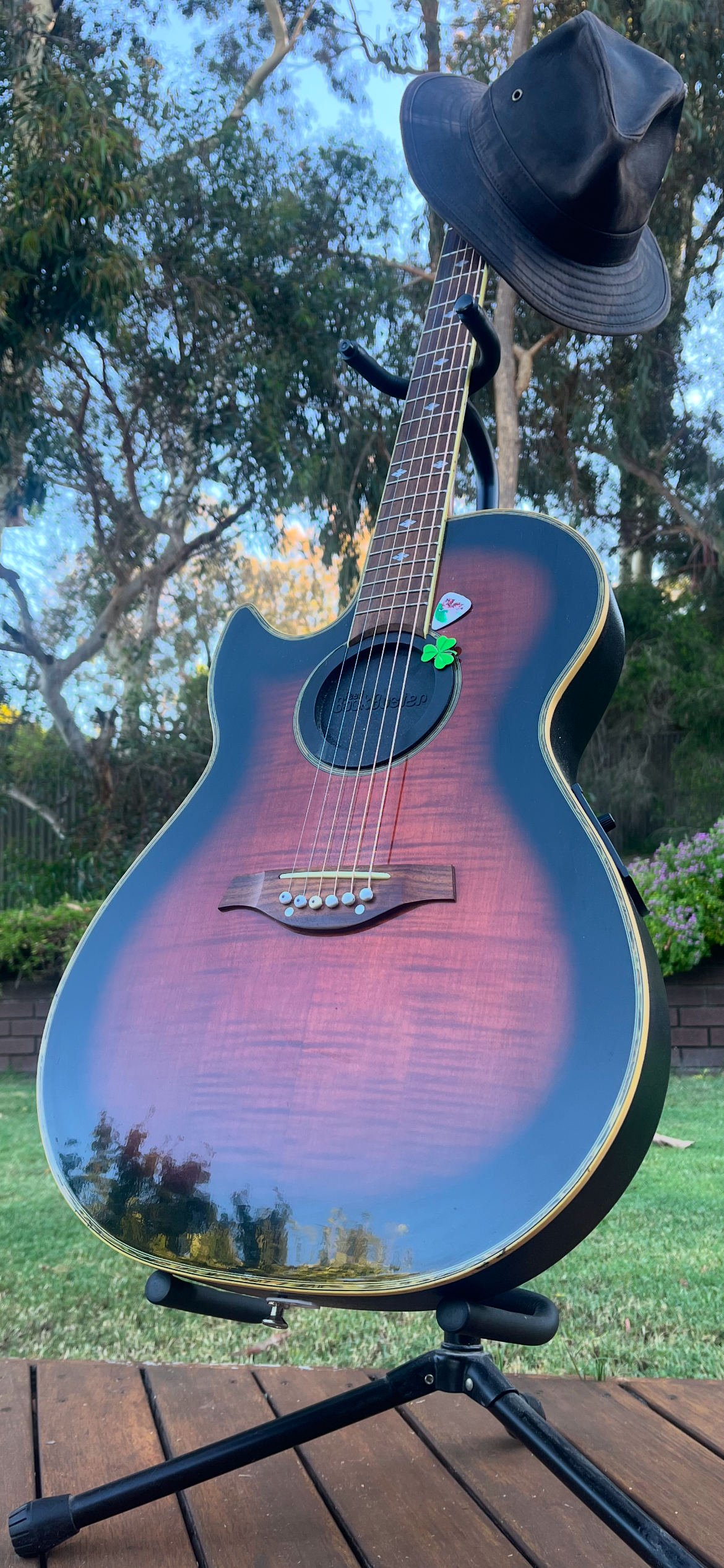 Paul Strum, musical soloist