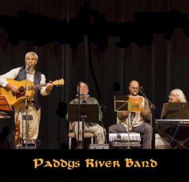 Paddys River Band, bush band in Penrose, photo 2