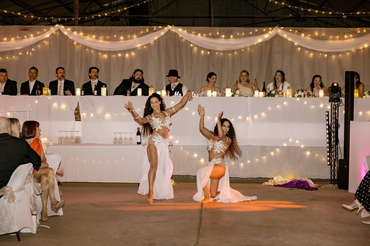 The Zarina Bellydance Twins, belly dancer in Perth, photo 3
