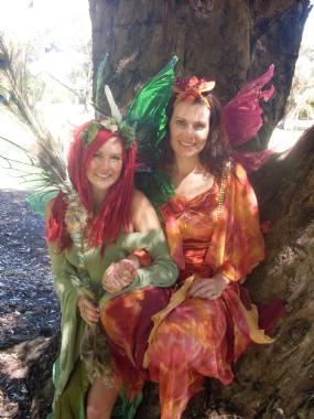Faerie Force, children's costume character in Perth
