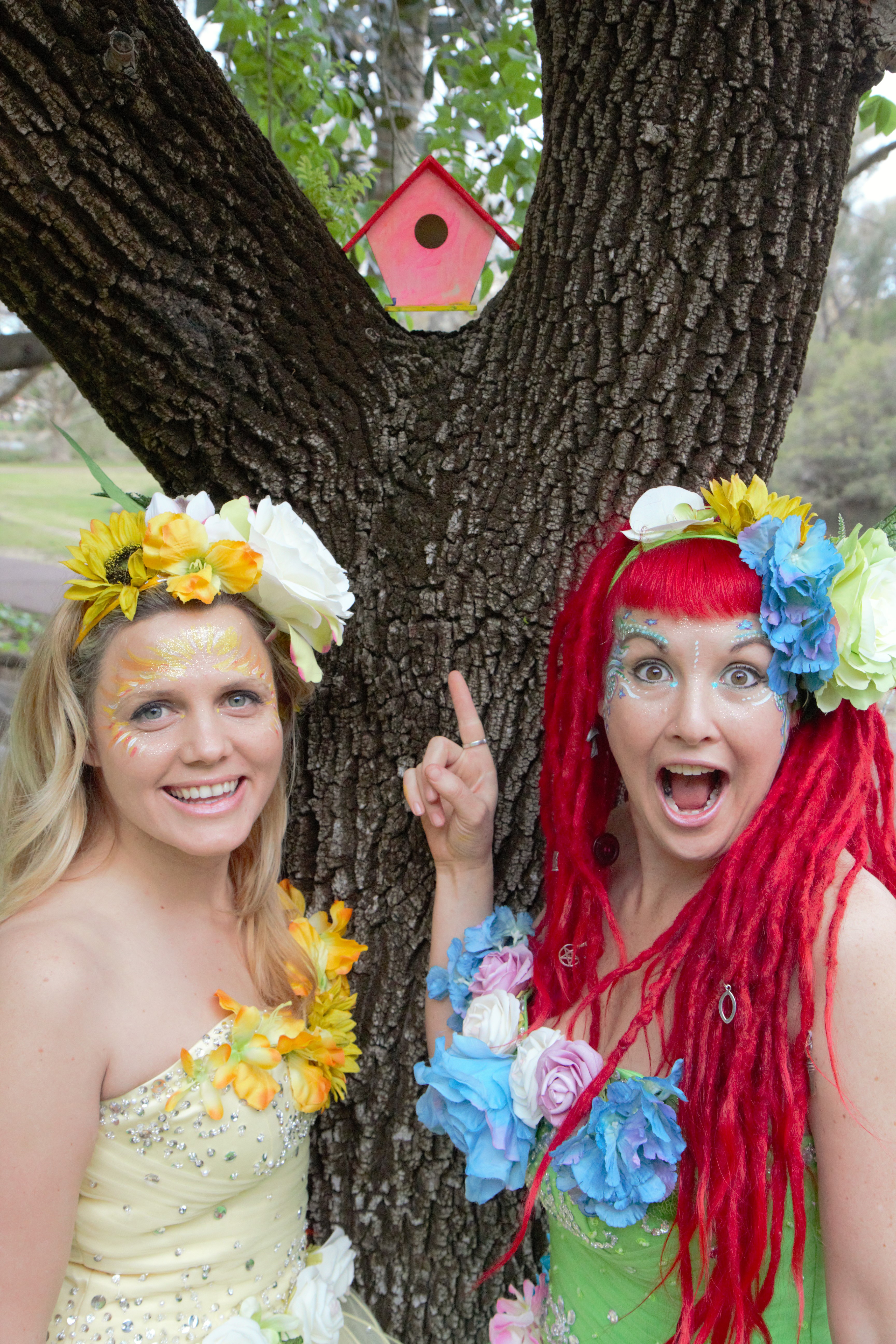 Eco Faeries, fairy costume character in Perth